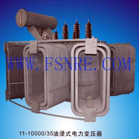 11-10000/35油浸式电力变压器
